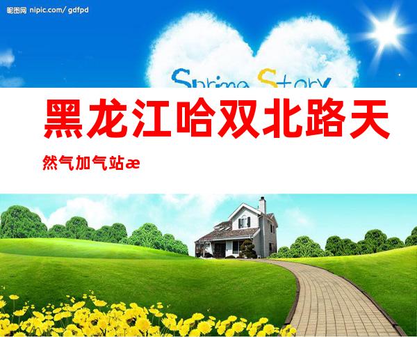 黑龙江哈双北路天然气加气站有限公司